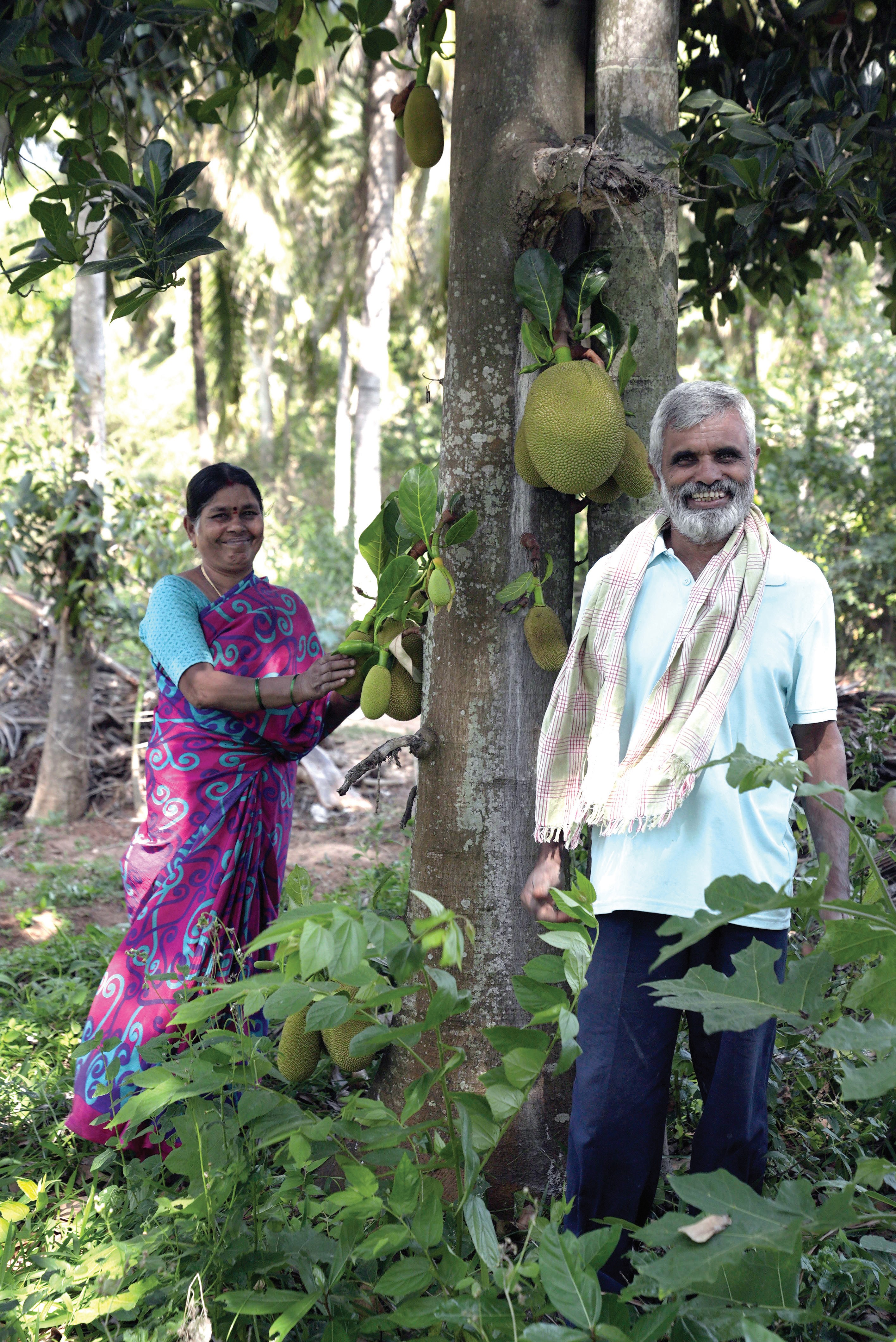 KG Ganesh in his turmeric farm